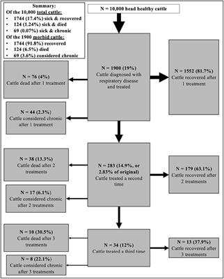 The welfare of ill and injured feedlot cattle: a review of the literature and implications for managing feedlot hospital and chronic pens